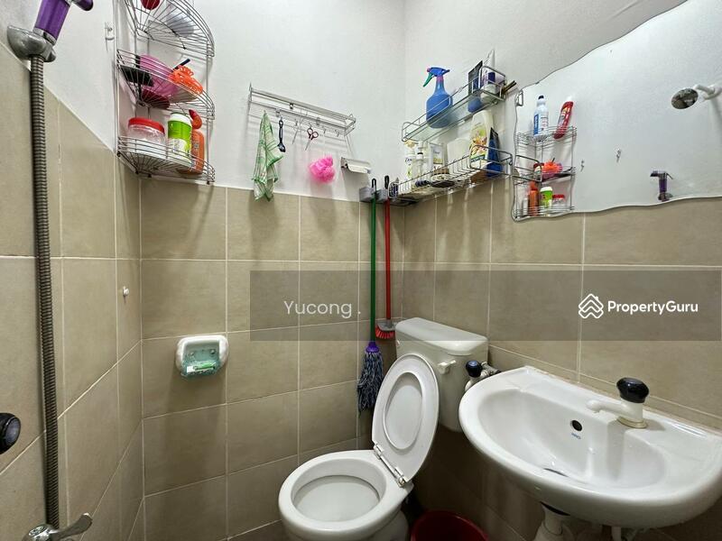 Untuk Dijual - kelapa sawit kelapas sawits
