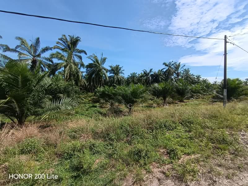 Agricultural Land at Batu 14 Lekir untuk Untuk Dijual - RM 113,080,000, Apr 2026 - PropertyGuru.com.my