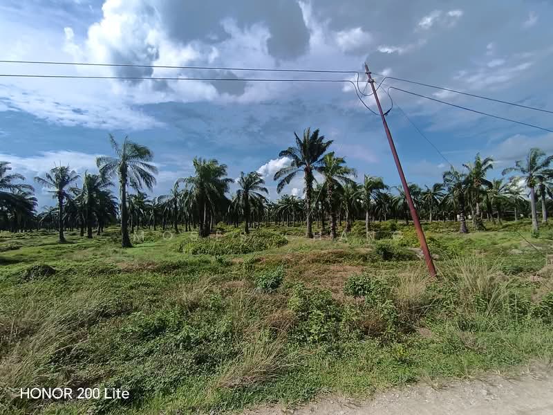 Agricultural Land at Batu 14 Lekir untuk Untuk Dijual - RM 113,080,000, Apr 2026 - PropertyGuru.com.my