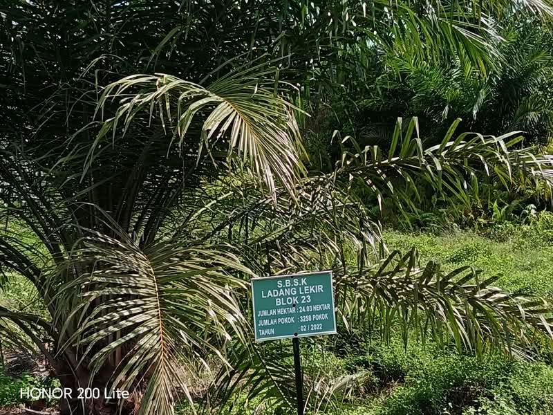 Agricultural Land at Batu 14 Lekir untuk Untuk Dijual - RM 113,080,000, Apr 2026 - PropertyGuru.com.my