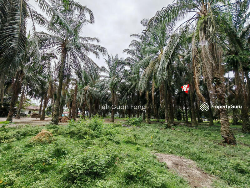 For Sale - 3.614 acre Agricultural land | Sidam Kanan | Padang Serai | Kedah Rm4.13psf dn