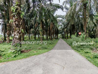 For Sale - 3.614 acre Agricultural land | Sidam Kanan | Padang Serai | Kedah Rm4.13psf dn