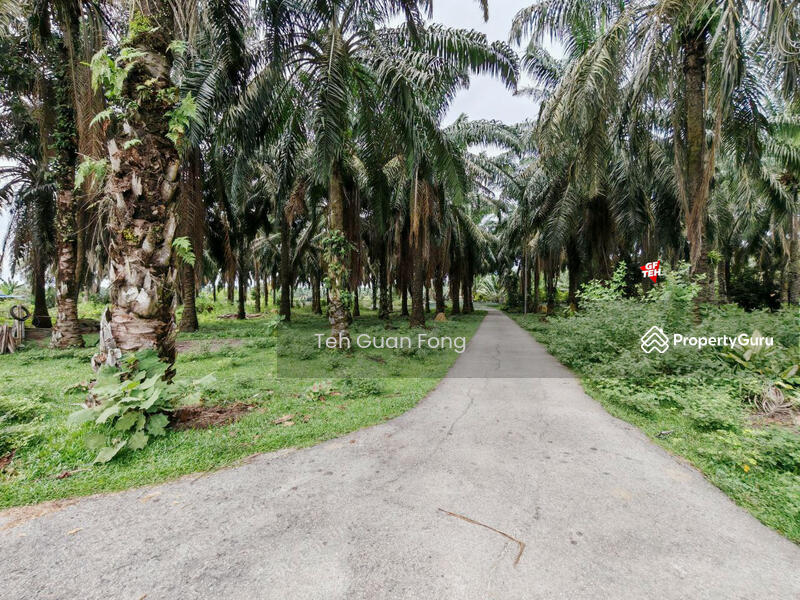 For Sale - 3.614 acre Agricultural land | Sidam Kanan | Padang Serai | Kedah Rm4.13psf dn