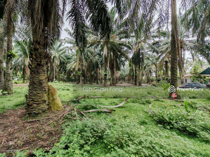 Agricultural Land for Sale in Taman Serai Setia (Padang Serai) - Teh Guan Fong - PropertyGuru.com.my