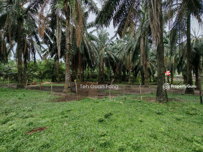 Agricultural Land for Sale in Taman Serai Setia (Padang Serai) - Teh Guan Fong - PropertyGuru.com.my