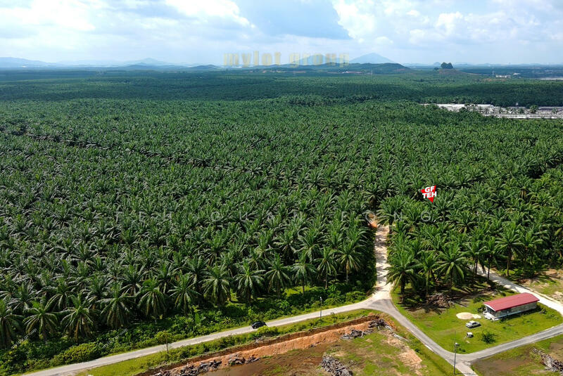 Agricultural Land for Sale in Taman Serai Setia (Padang Serai) - Teh Guan Fong - PropertyGuru.com.my