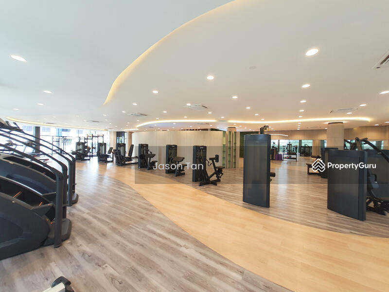 Untuk Disewa - One Equine