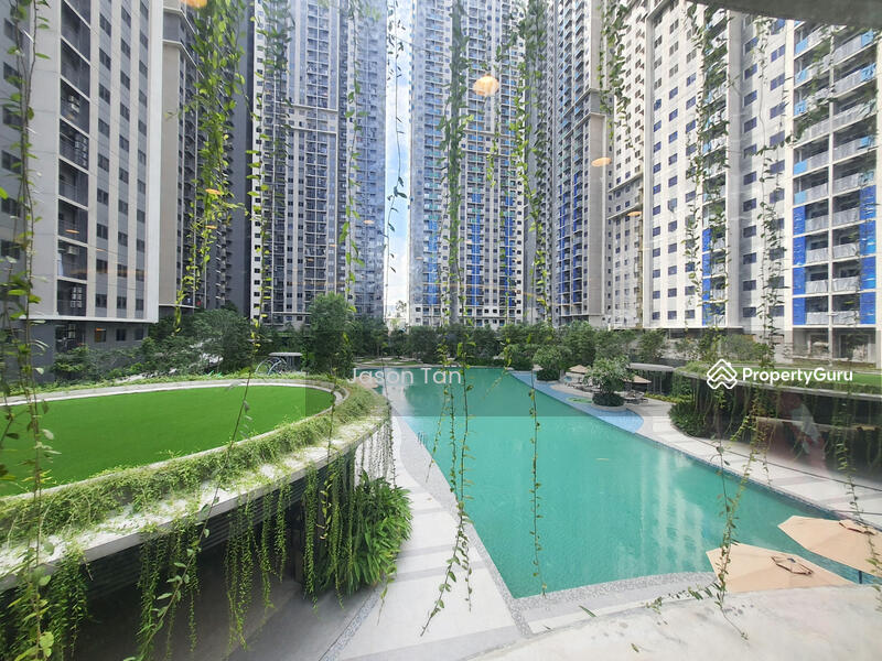 Untuk Disewa - One Equine