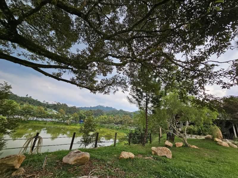 Agricultural Land for Sale in Kampung Sungai Makau (Hulu Langat) - Steven Guan Yeu Steven - PropertyGuru.com.my