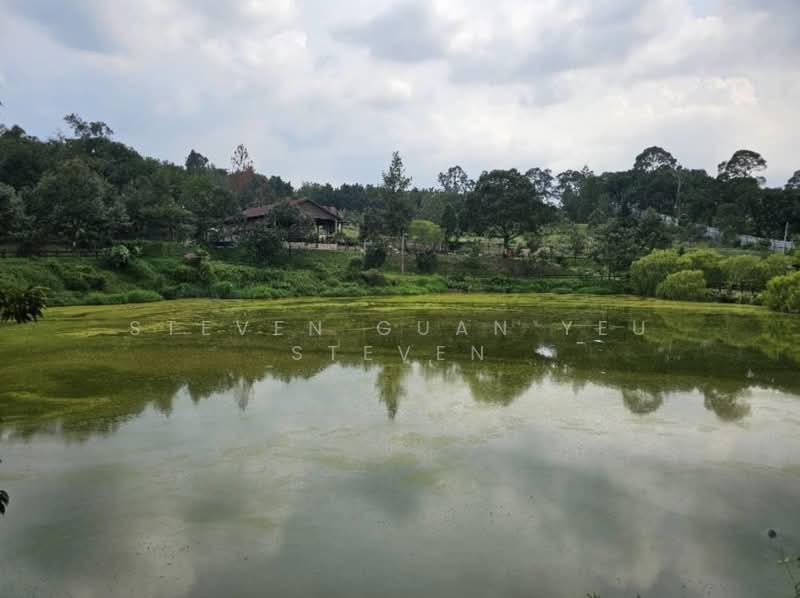 Agricultural Land for Sale in Kampung Sungai Makau (Hulu Langat) - Steven Guan Yeu Steven - PropertyGuru.com.my