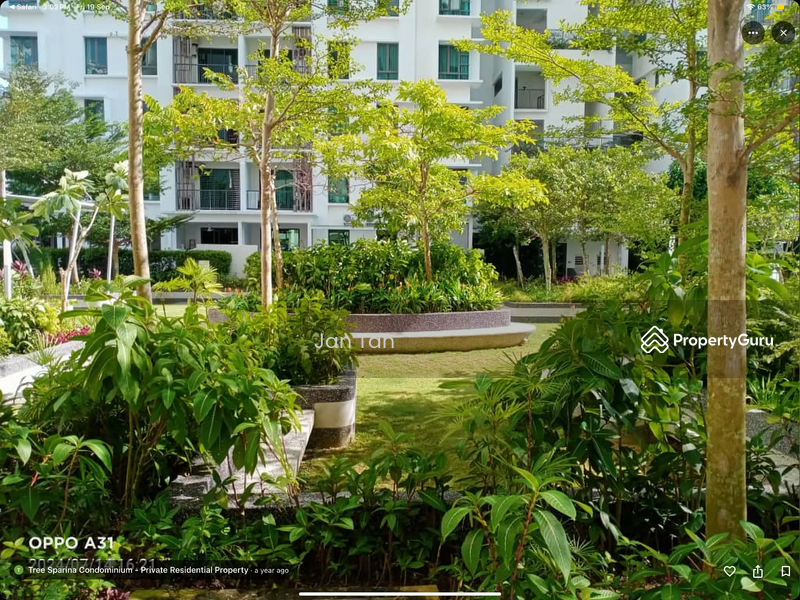 Untuk Dijual - Tree Sparina