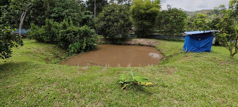 Untuk Dijual - Freehold Complete Infra Tanah Batang kali