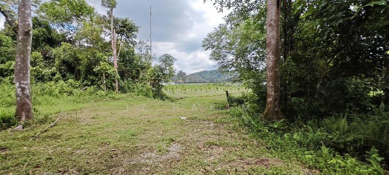 Untuk Dijual - Freehold Complete Infra Tanah Batang kali
