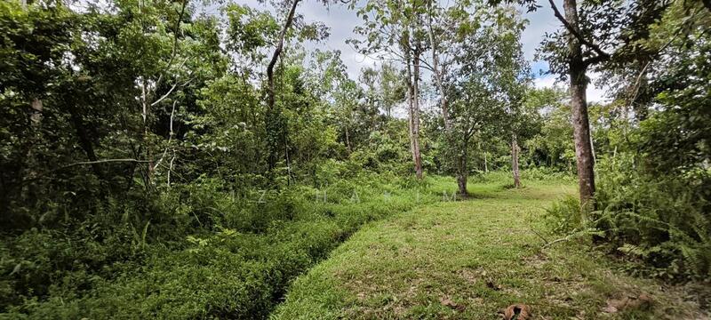 Untuk Dijual - Freehold Complete Infra Tanah Batang kali