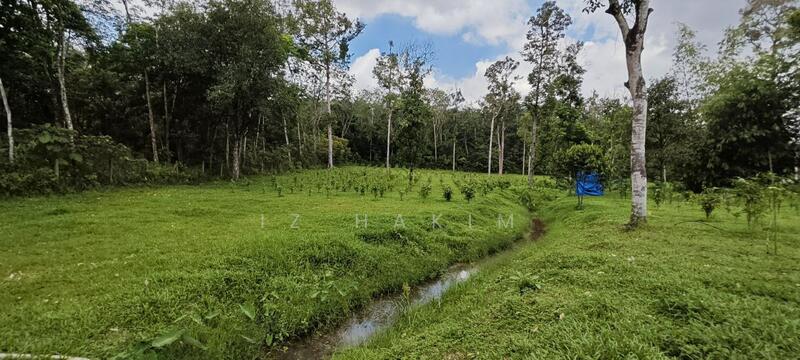Untuk Dijual - Freehold Complete Infra Tanah Batang kali