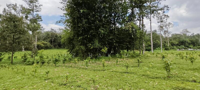 Untuk Dijual - Freehold Complete Infra Tanah Batang kali