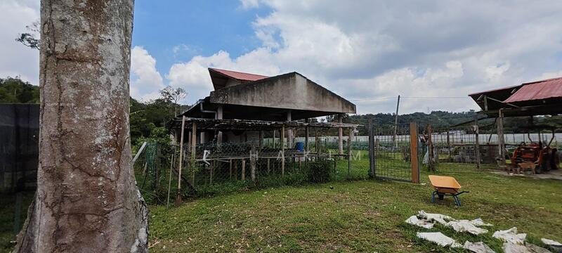 Untuk Dijual - Freehold Complete Infra Tanah Batang kali