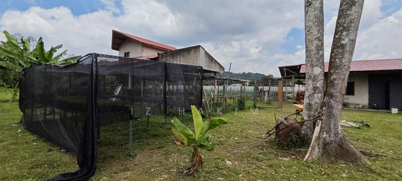 Untuk Dijual - Freehold Complete Infra Tanah Batang kali