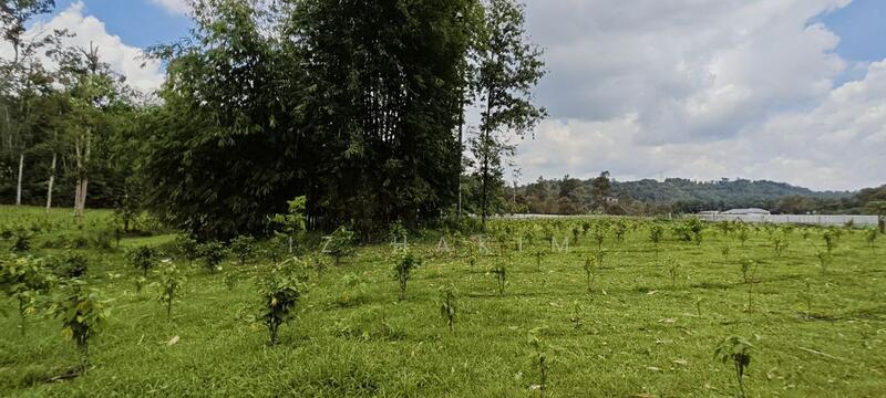 Untuk Dijual - Freehold Complete Infra Tanah Batang kali