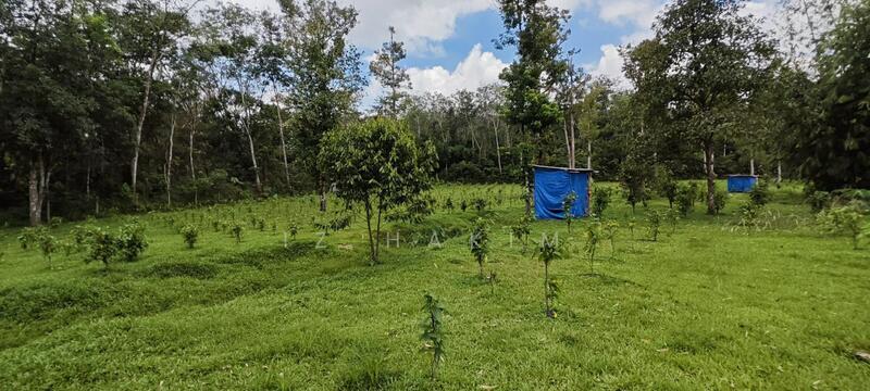 Untuk Dijual - Freehold Complete Infra Tanah Batang kali