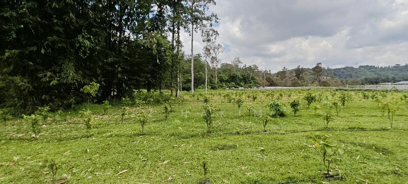 Untuk Dijual - Freehold Complete Infra Tanah Batang kali