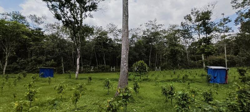Untuk Dijual - Freehold Complete Infra Tanah Batang kali