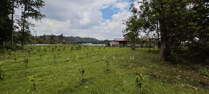 Untuk Dijual - Freehold Complete Infra Tanah Batang kali