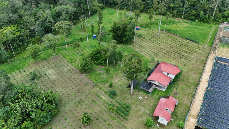 Untuk Dijual - Freehold Complete Infra Tanah Batang kali