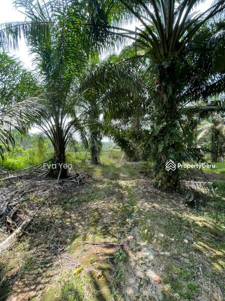 Untuk Dijual - Sungai Tiram Sungais Tirams