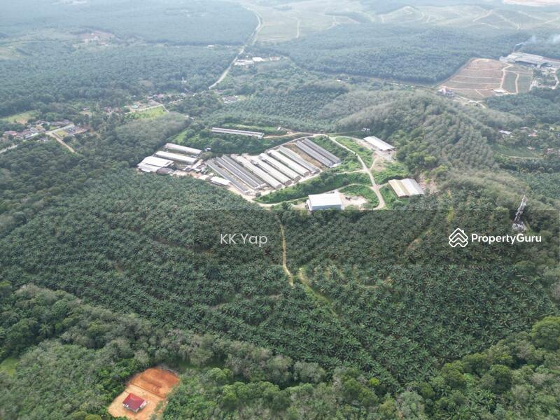 For Sale - Lendu, Alor Gajah 10acres Freehold Palm Oil Agriculture Land For Sale