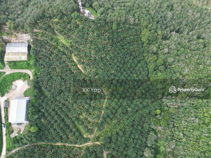 For Sale - Lendu, Alor Gajah 10acres Freehold Palm Oil Agriculture Land For Sale