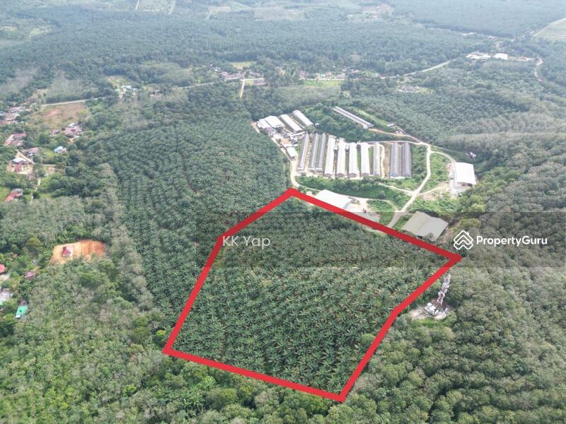 For Sale - Lendu, Alor Gajah 10acres Freehold Palm Oil Agriculture Land For Sale