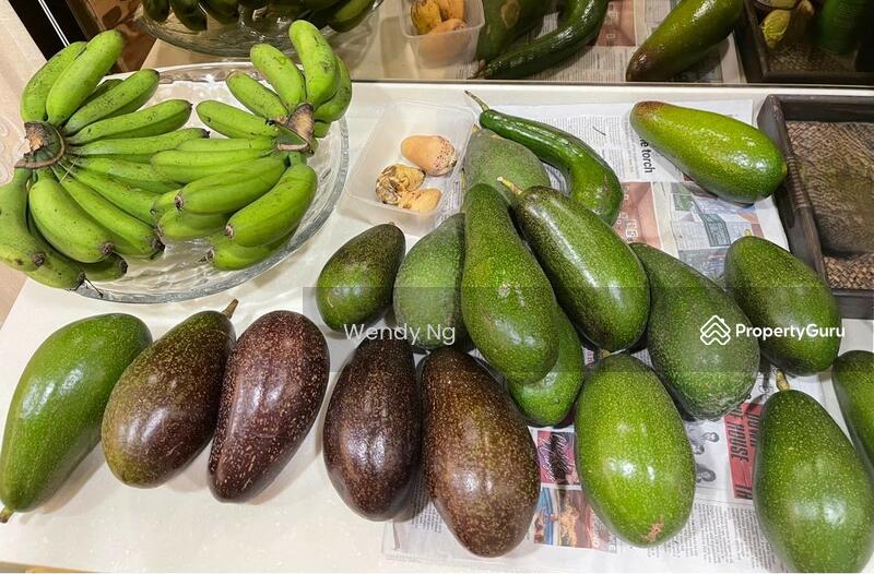 For Sale - Kerling ~ DURIAN Farm 榴莲园 @ TAR road frontage 柏油路路旁【溪水经过地段】