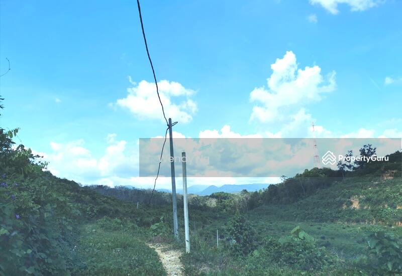 For Sale - Kerling ~ DURIAN Farm 榴莲园 @ TAR road frontage 柏油路路旁【溪水经过地段】