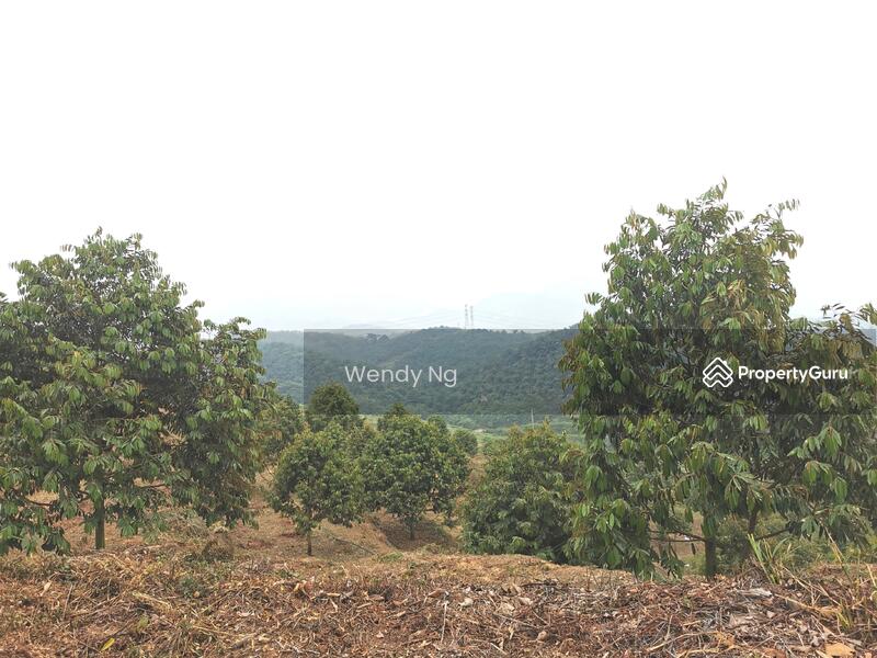For Sale - Kerling ~ DURIAN Farm 榴莲园 @ TAR road frontage 柏油路路旁【溪水经过地段】