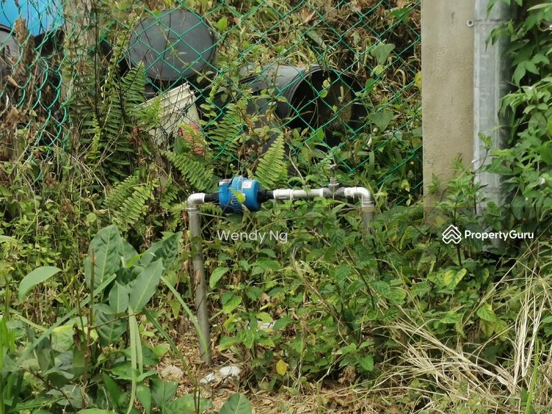 For Sale - Kerling ~ DURIAN Farm 榴莲园 @ TAR road frontage 柏油路路旁【溪水经过地段】