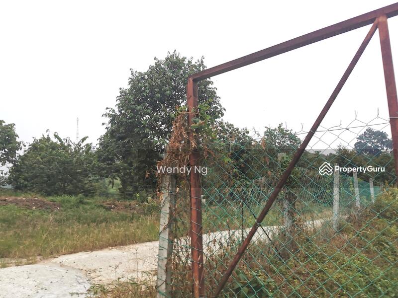 For Sale - Kerling ~ DURIAN Farm 榴莲园 @ TAR road frontage 柏油路路旁【溪水经过地段】