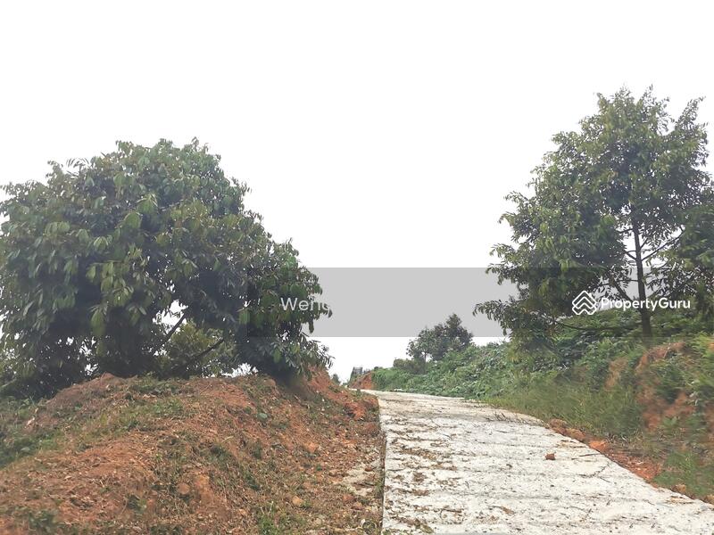 For Sale - Kerling ~ DURIAN Farm 榴莲园 @ TAR road frontage 柏油路路旁【溪水经过地段】