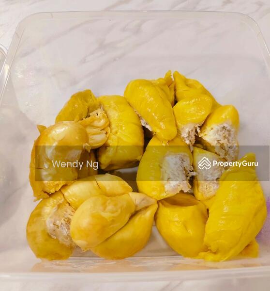 For Sale - Kerling ~ DURIAN Farm 榴莲园 @ TAR road frontage 柏油路路旁【溪水经过地段】