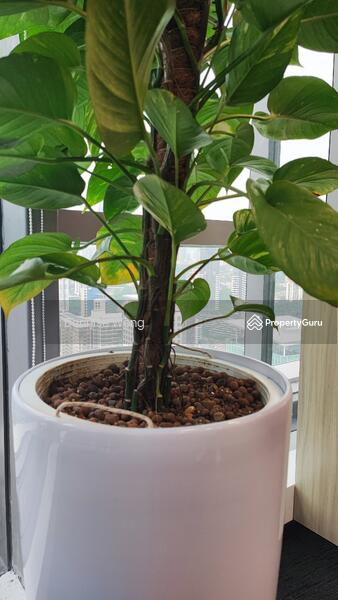 For Rent - Jalan Taming Jaya