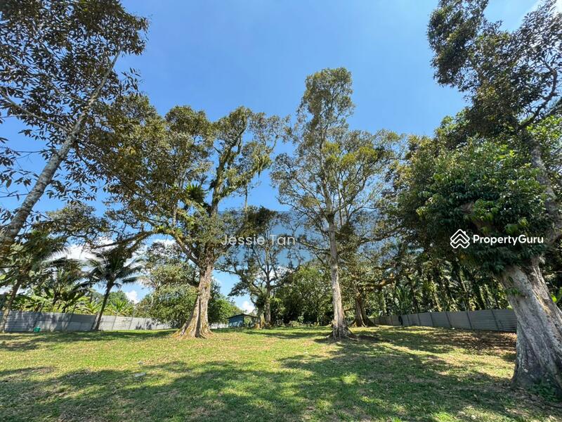 Agricultural Land for Sale in Lima Kedai (Skudai) - Jessie Tan - PropertyGuru.com.my