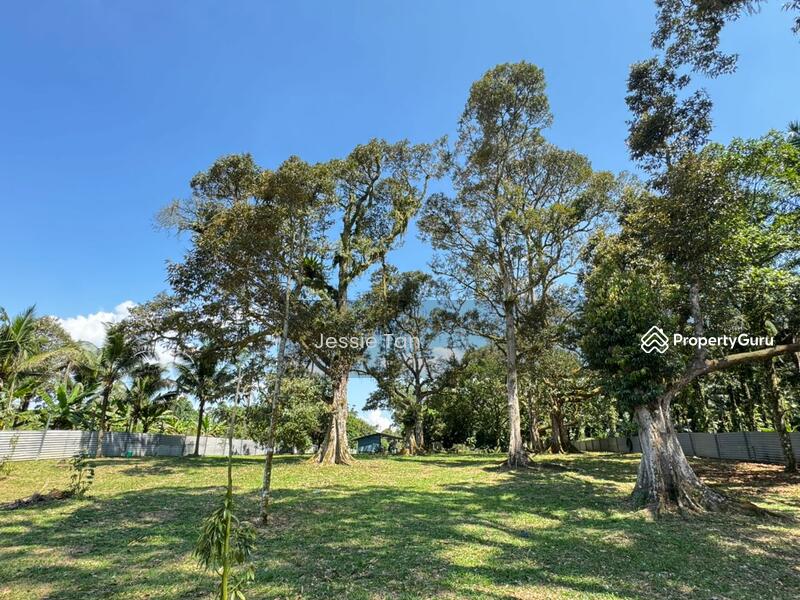 Agricultural Land for Sale in Lima Kedai (Skudai) - Jessie Tan - PropertyGuru.com.my