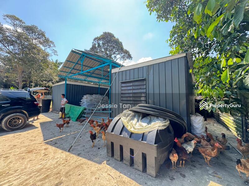 Agricultural Land for Sale in Lima Kedai (Skudai) - Jessie Tan - PropertyGuru.com.my