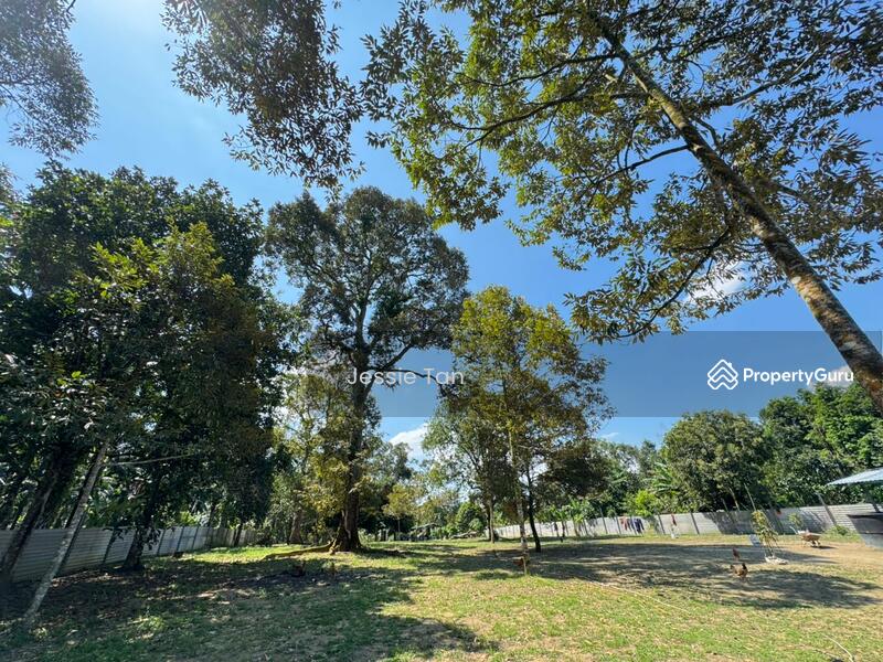Agricultural Land for Sale in Lima Kedai (Skudai) - Jessie Tan - PropertyGuru.com.my