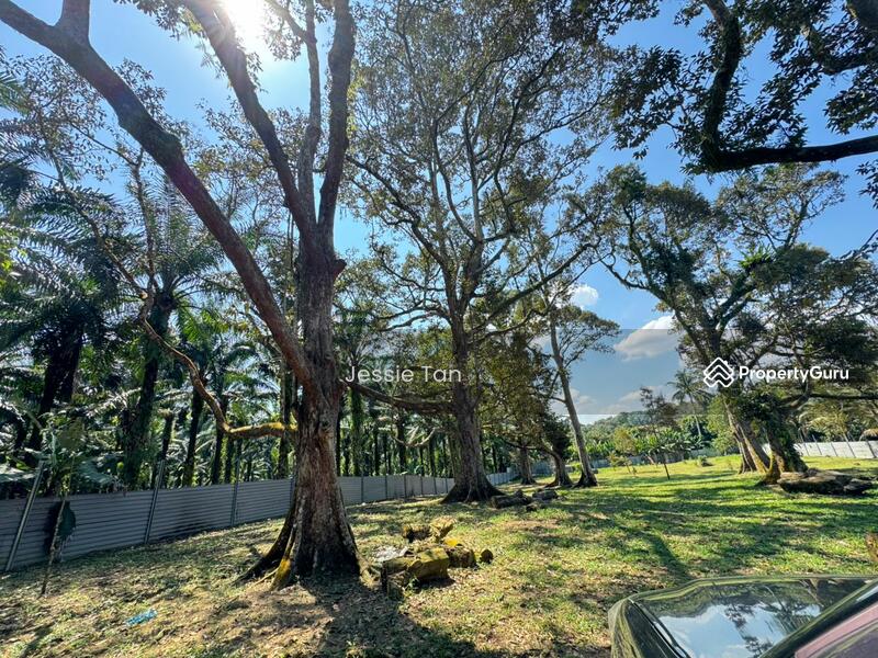Agricultural Land for Sale in Lima Kedai (Skudai) - Jessie Tan - PropertyGuru.com.my