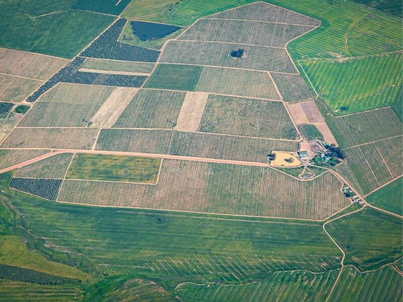 Tanah Perindustrian untuk Dijual di Pajam (Mantin) - OLIVIA OH - PropertyGuru.com.my