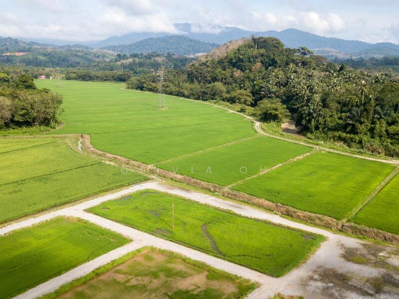 Tanah Perindustrian untuk Dijual di Pajam (Mantin) - OLIVIA OH - PropertyGuru.com.my