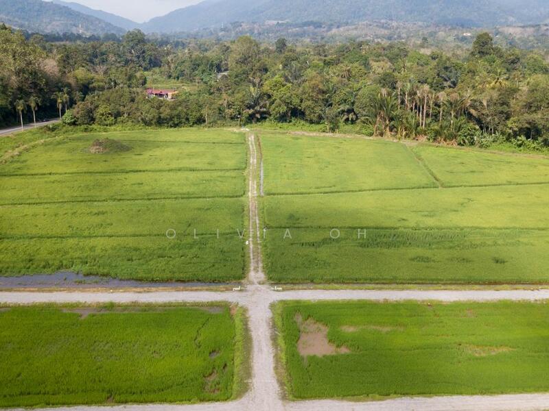 Tanah Perindustrian untuk Dijual di Pajam (Mantin) - OLIVIA OH - PropertyGuru.com.my