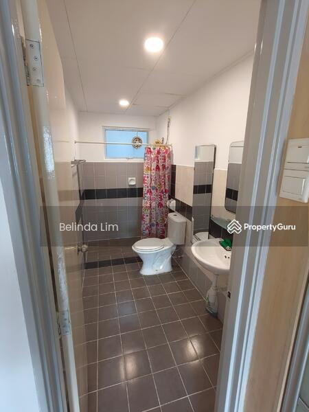 For Sale - Koi Kinrara