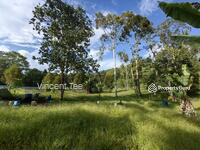 For Sale - 2 Acres Durian Farm Padang Tengku Kuala Lipis